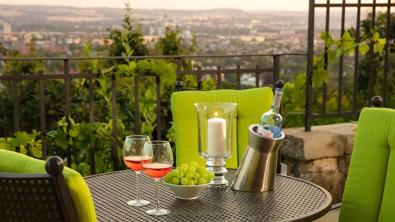 Apartment Traumhafte Ferienwohnung Im Luisenhof Dresden